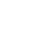 365pg icon