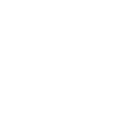365pg icon