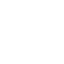 365pg icon